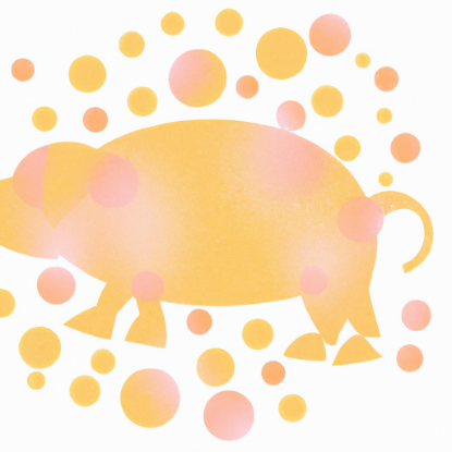 Picture of pig